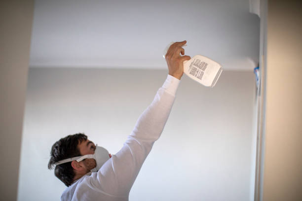 Home Mold Removal in Hampton, SC
