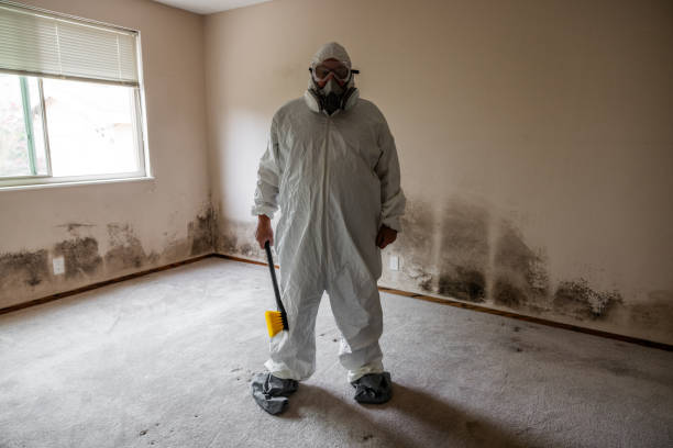 Certified Mold Removal in Hampton, SC